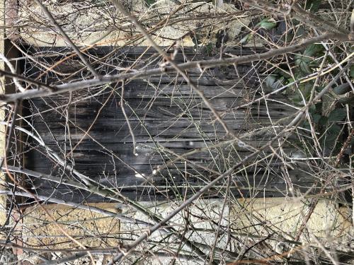 Tour de Courcourt [12-02-2022](IMG_4317).jpg